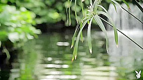 Party of 1-2-3 – PlayboyTV